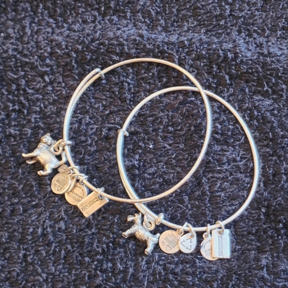 Alex and Ani Retired Silver Monopoly Charm Bracelets Cat & Dog